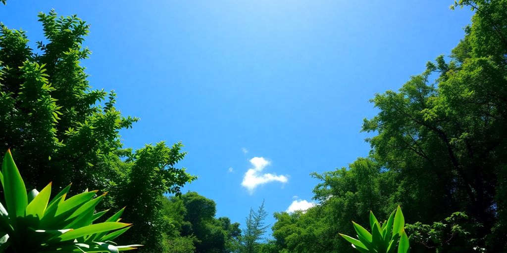 Céu azul com sol e floresta amazônica verde.